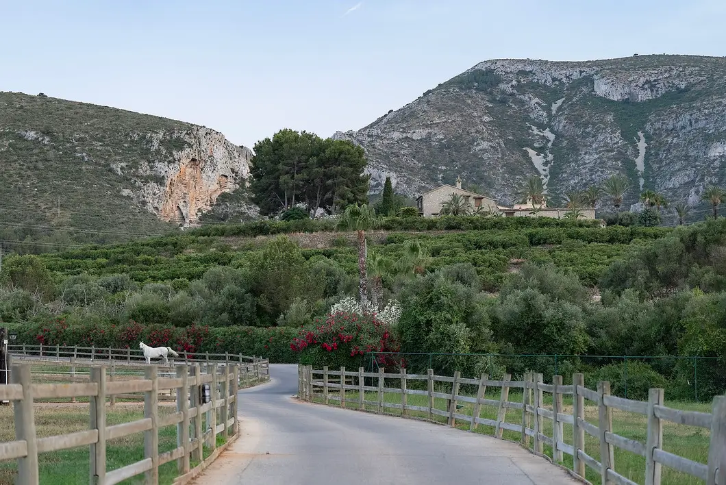 Choosing the right region for a horse property in Spain