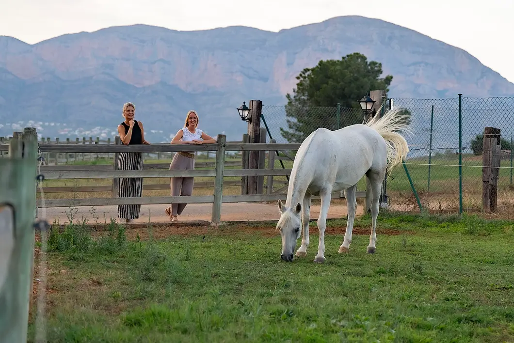Real estate agent equestrian