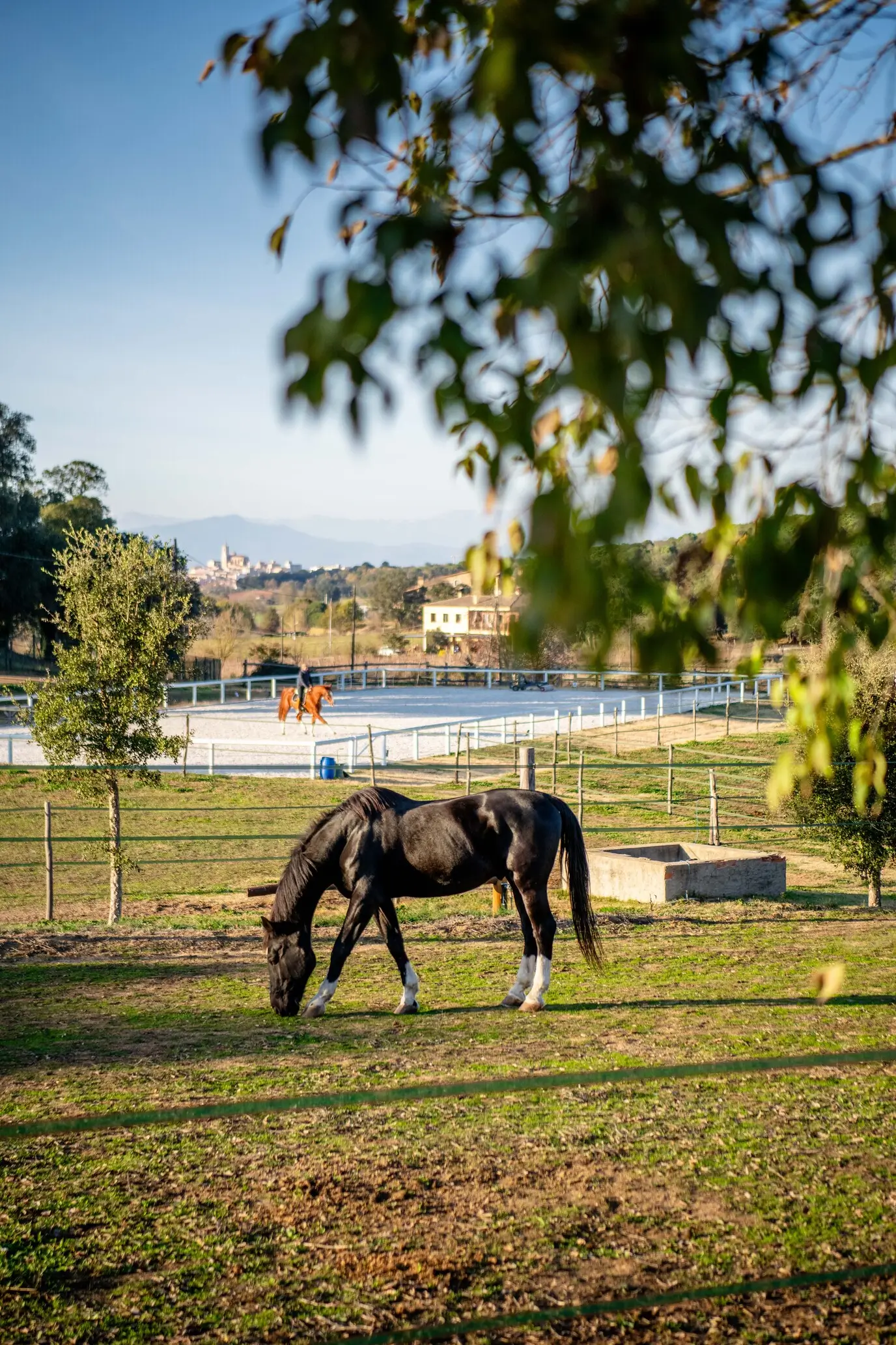 Sell equestrian property spain
