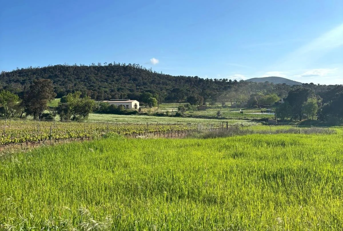 home with horses spain